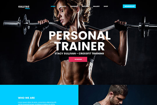 Fitness WordPress Theme