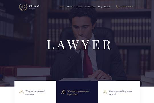 Lawyer WordPress Theme