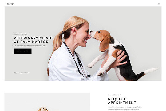 Veterinary Clinic Pets WordPress Theme