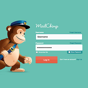 Functional NEWSLETTER MailChimp integration & adaptation